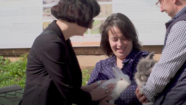 Members of ZooPlanet, a Local Works program partner, spend time with rescued rabbits